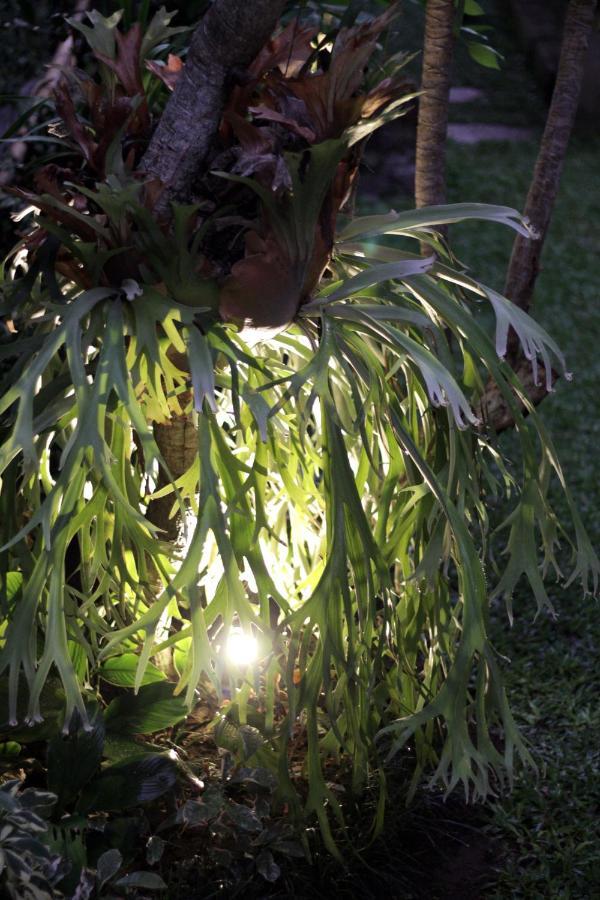 Sari House Ubud - Balinese Style Homestay Zewnętrze zdjęcie